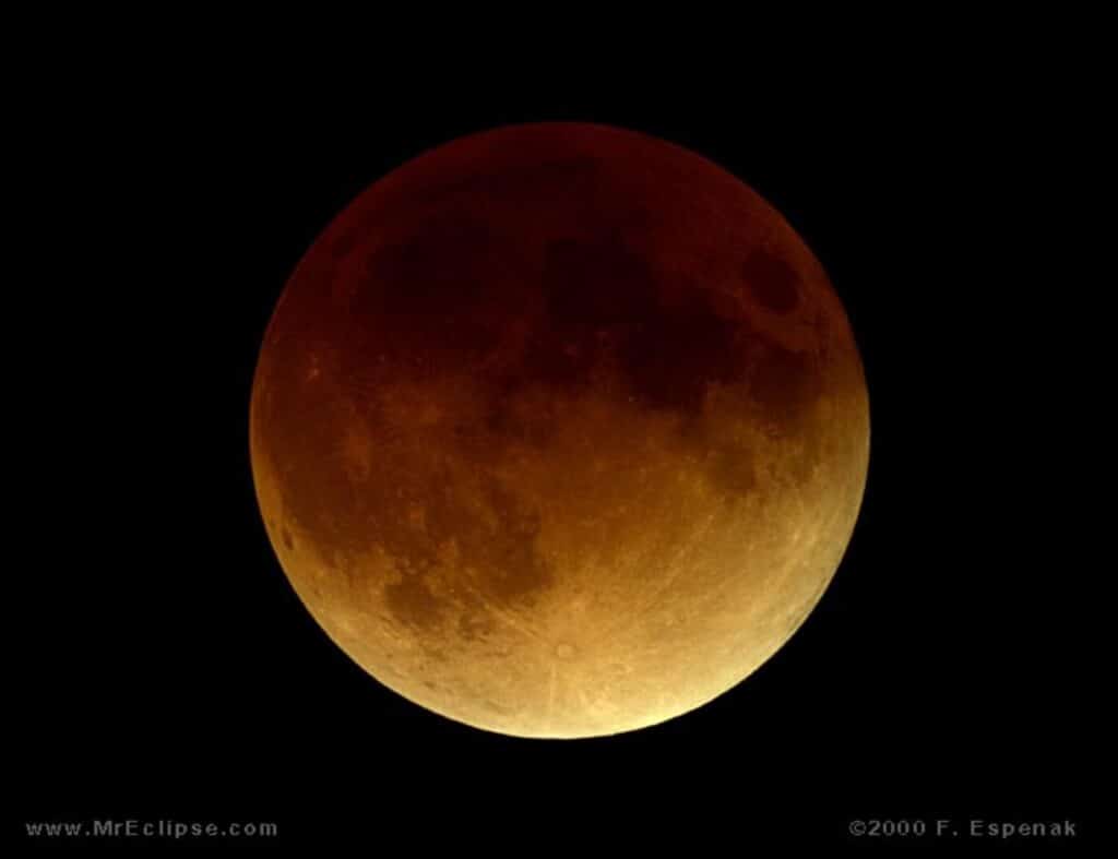 Il 19 novembre alzate gli occhi al cielo per l’ eclissi lunare parziale  più lunga del secolo. Ecco di cosa si tratta, come e dove vederla.