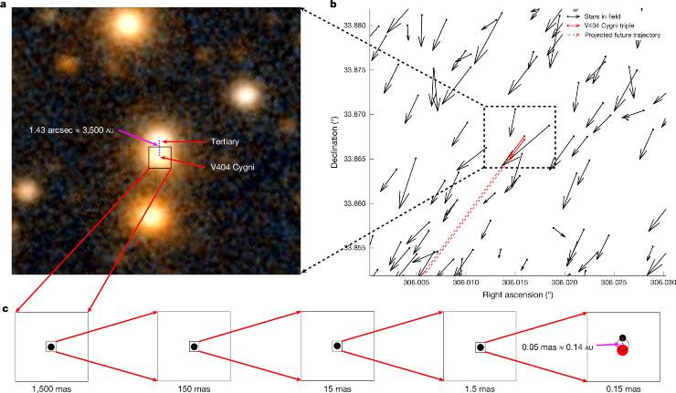 Illustrazione del sistema triplo di buchi neri (Burdge et al., 2024)