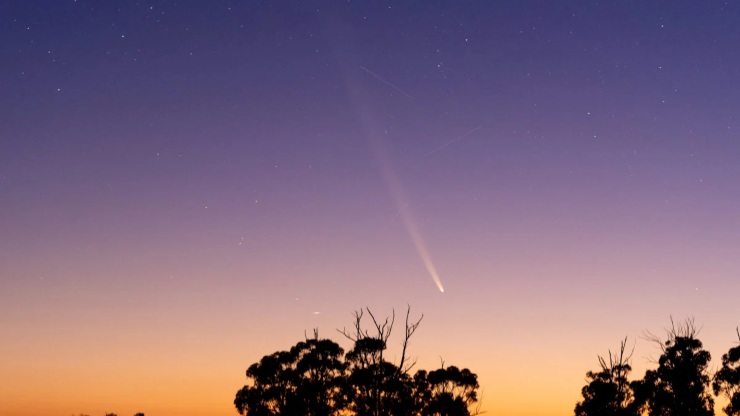 La cometa del secolo (cafuego)