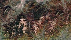 Foliage ripreso dai satelliti Sentinel 2 (ESA)