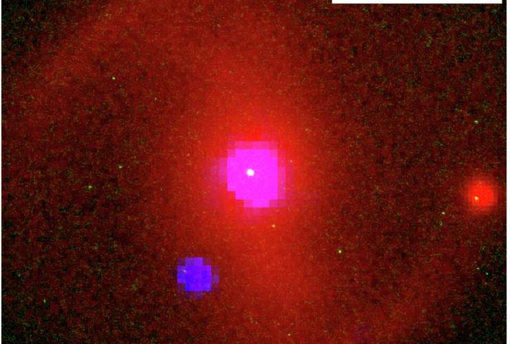 Illustrazione del buco nero mentre fagocita la stella (M. Nicholl)