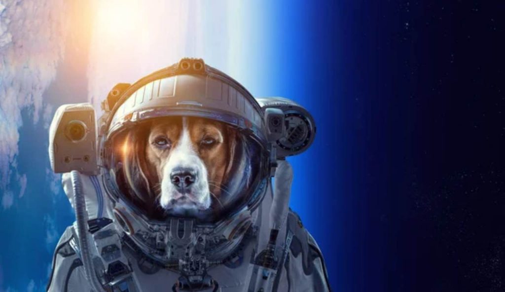 Illustrazione di un cane astronauta (Depositphotos)