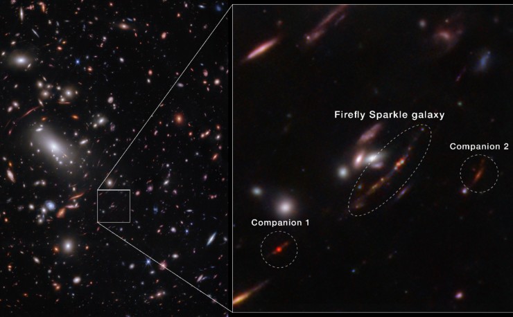 llustrazione della a galassia Firefly Sparkle (L. Mowla et al. 2024)