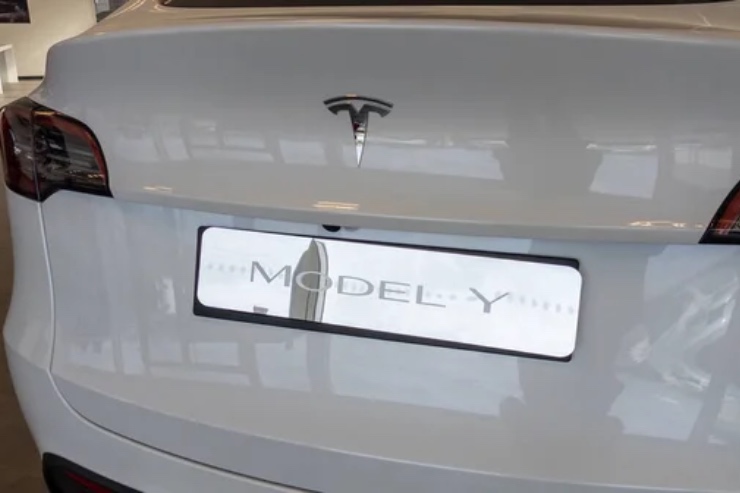 Model Y